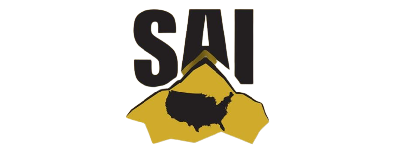 ./SAI2-removebg-preview_1773869089876